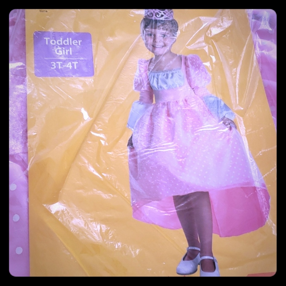 Princess Costume